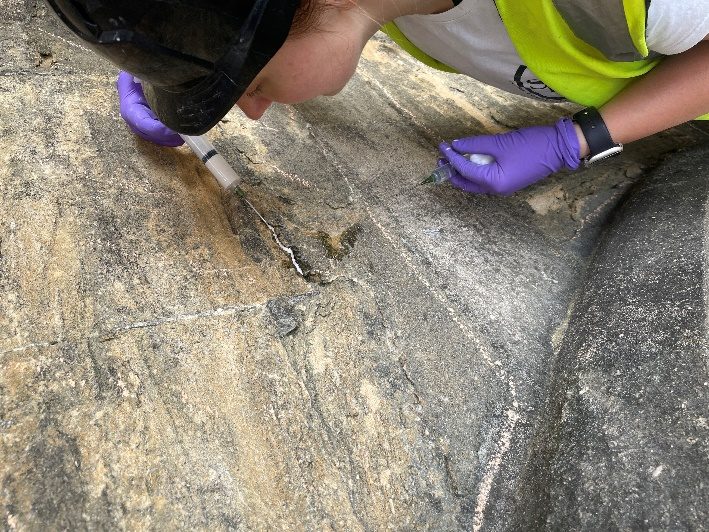 Specialist cleaning of carved stone at St George’s Chapel, Windsor